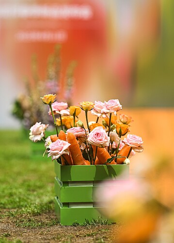IMG_20250411_222549